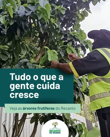 Tudo aquilo que cuidamos, no final, floresce!
